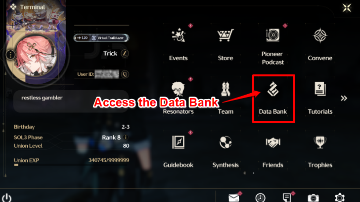 Access Databank