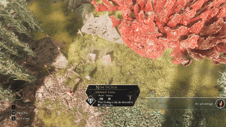 White Tree Shared Care Pictos