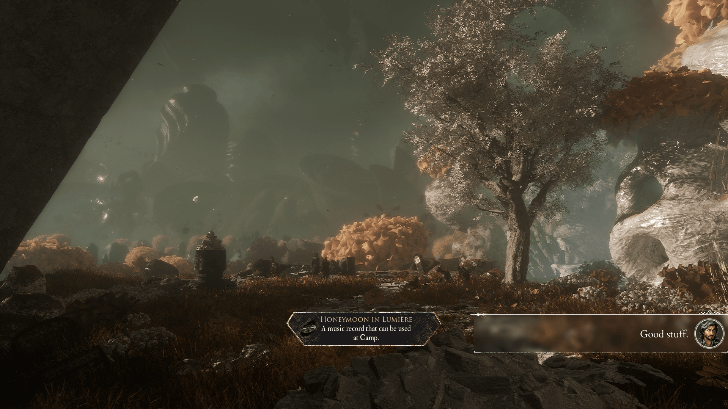 White Tree Honeymoon in Lumiere