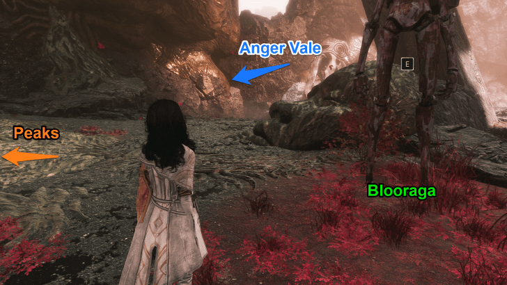 Visages Path to Anger Vale