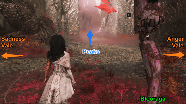 Visages Path to Peaks