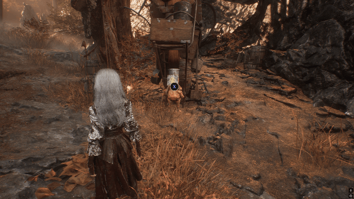 Falling Leaves Persik Location