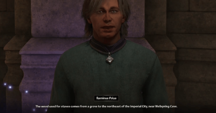 Oblivion Mages Staff Raminus 1