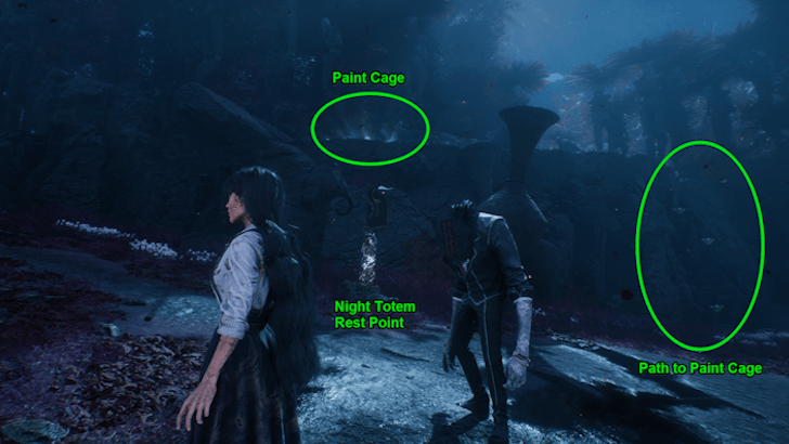 Endless Night Sanctuary Paint Cage