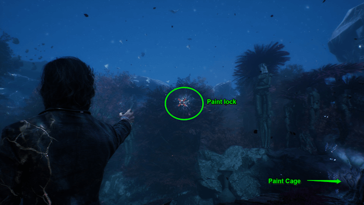 Endless Night Sanctuary Paint Cage Lock 2