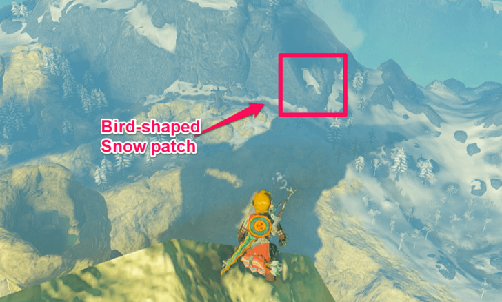 White Bird Snow Patch