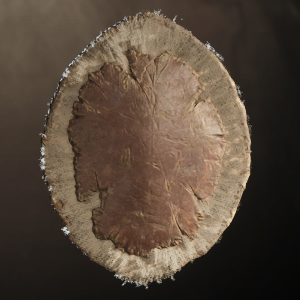 Cursed Shield of the Horker