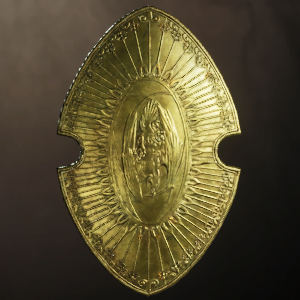 Cursed Stormrider Shield