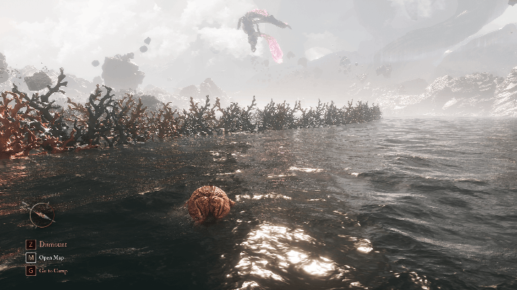 Esquie Swim Through Coral