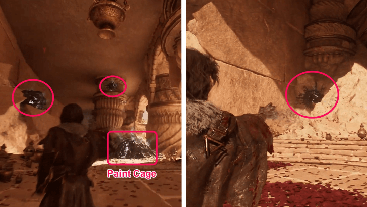 Paint Cage in Sirene