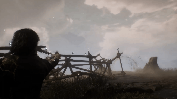 The Crows Crow Location 6