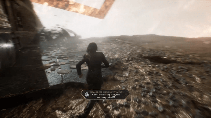 Flying Manor Paint Cage 1