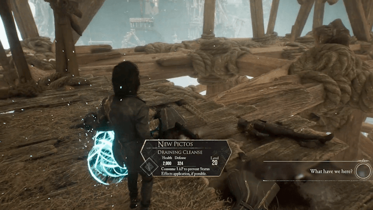 The Reacher Draining Cleanse