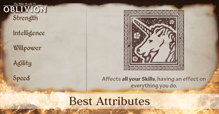 The Elder Scrolls IV Oblivion Remastered Best Attributes