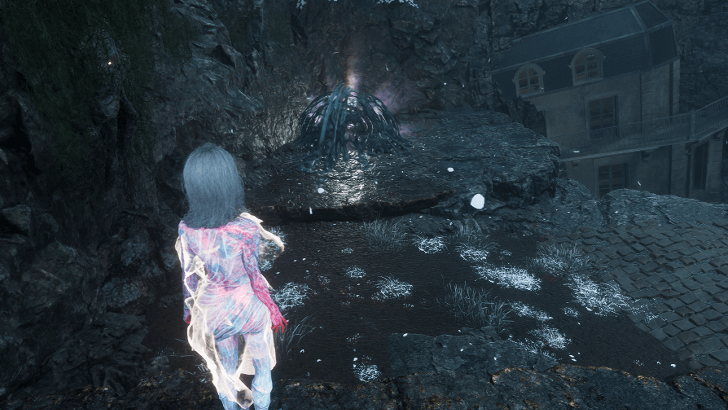 Esoteric Ruins Paint Cage