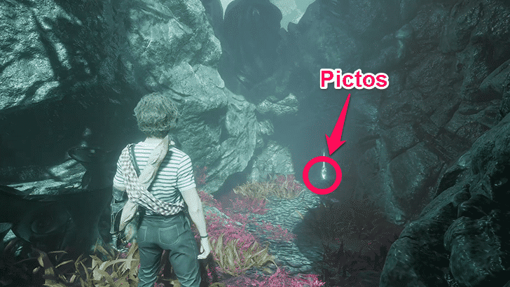 Clair Obscur - Marking Shots Location