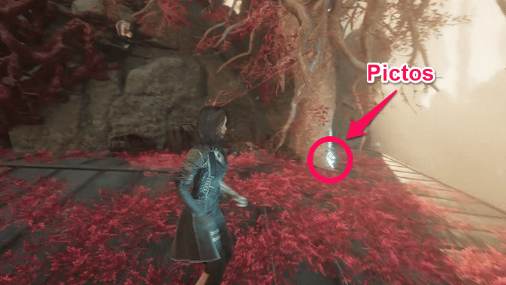 Clair Obscur - Versatile Location