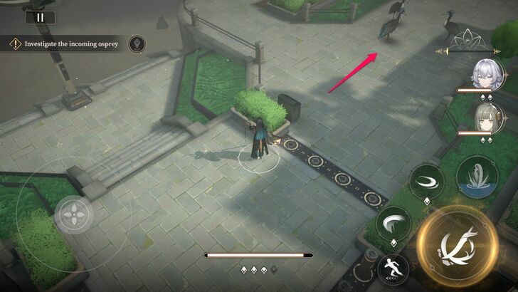 Eliminate Bird Enemy