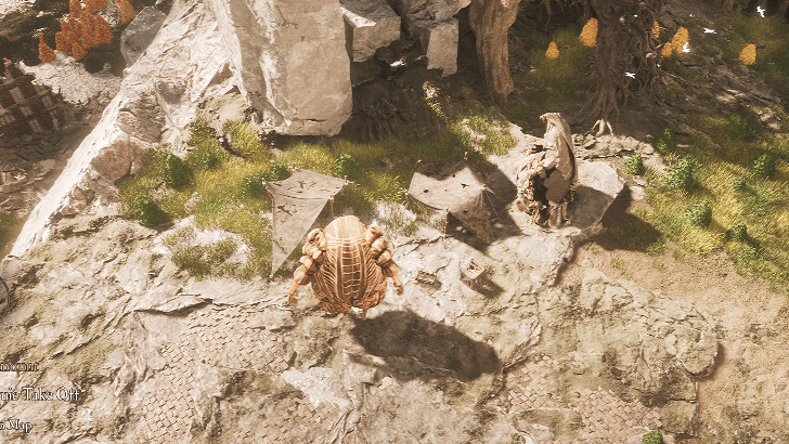 Julie Search and Rescue Location