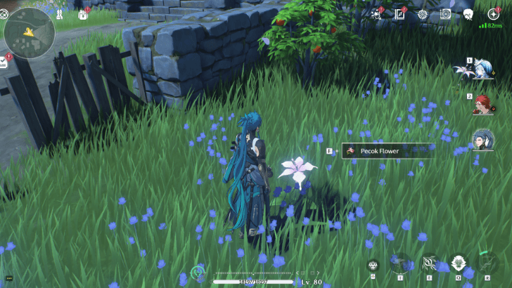 Wuthering Waves Ascension Materials Can be Gathered