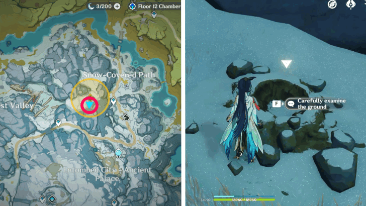 Go to the location marked out on the map