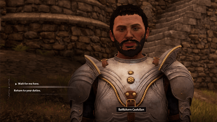 Battlehorn Castellan