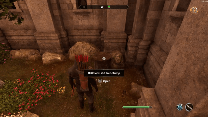 The Coldest Sleep Overworld