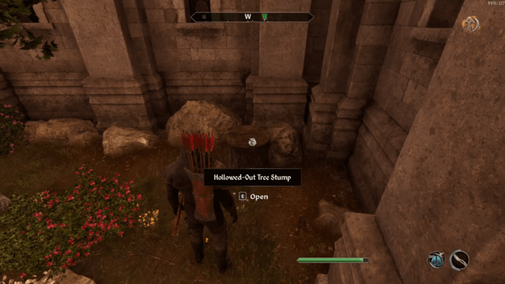 Hollowed-Out Tree Stump