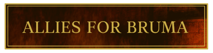 TES IV Oblivion Allies for Bruma Banner