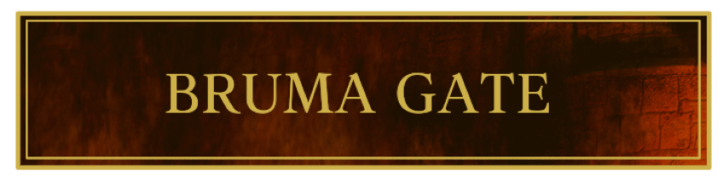 TES IV Oblivion Bruma Gate Banner
