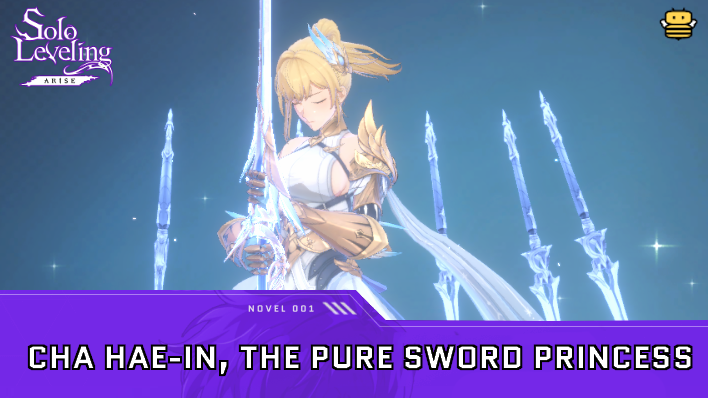 SLA - Cha Hae-In the Pure Sword Princess