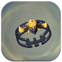 Solo Leveling Arise Tank