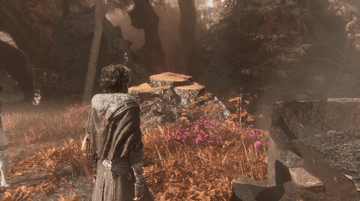 Lady of Sap Rope Point