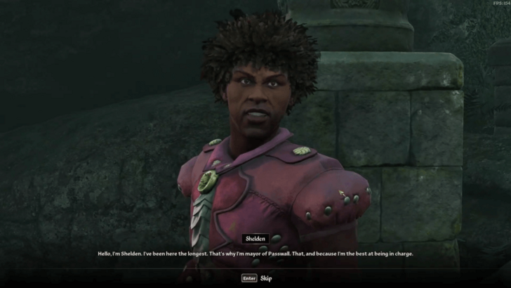 Through the Fringe of Madness - Talk to a Citizen