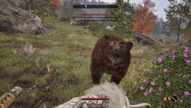 Kill 6 Bears