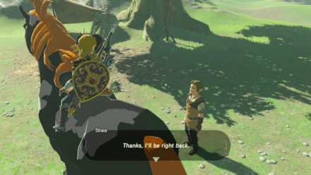 The Legend of Zelda Breath of the Wild (BotW) - Return to Straia