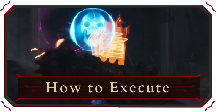 How to Perform Executions
