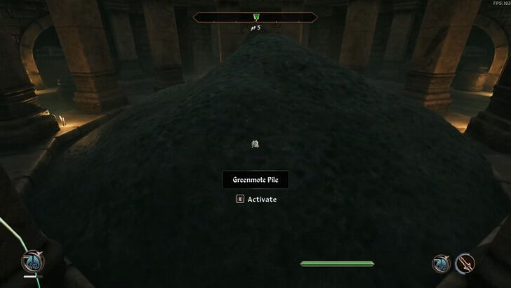 TES IV Oblivion Greenmote Pile