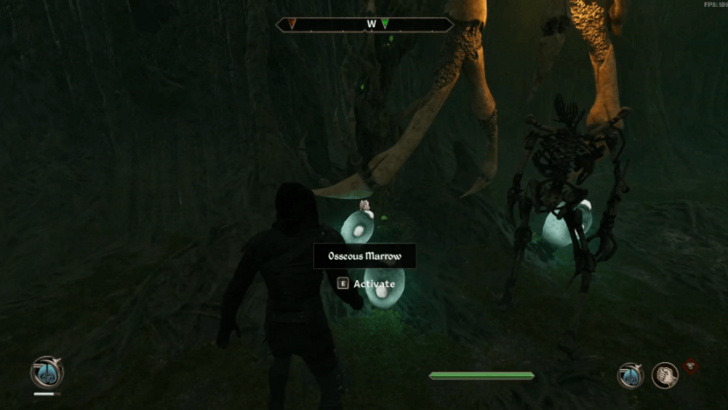 Rebuilding the Gatekeeper - Osseous Marrow