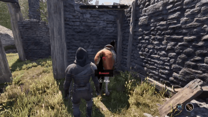 Look for Blossom the Horse