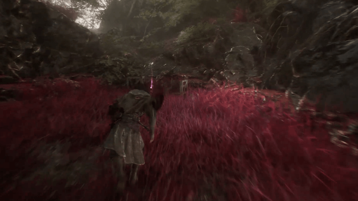 Inside the Monolith Wooden Crates