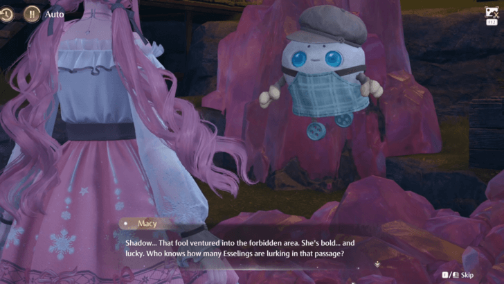 Infinity Nikki Tell Macy the Investigation Results