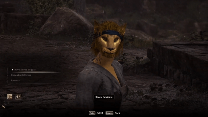 Talk to the Locals in Leyawiin