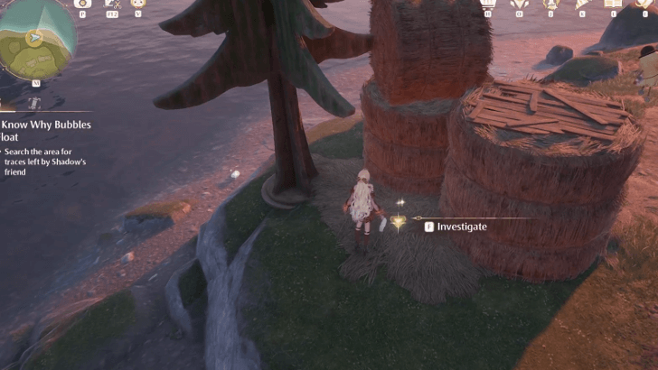 Search for Traces Left by Shadow