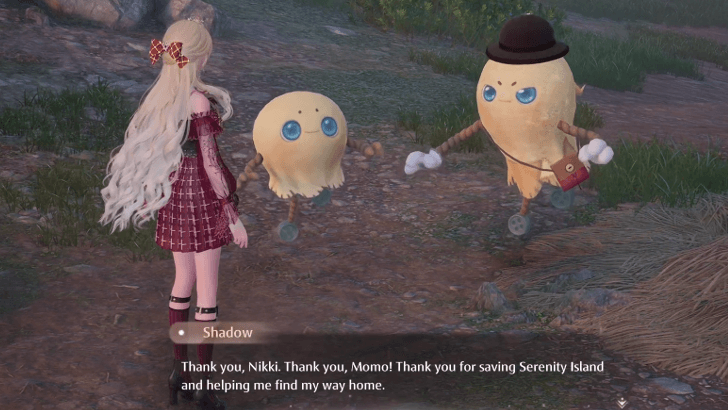 8 - Return and Report to Shadow