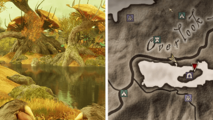 To Help a Hero - Step 2 - Head to Fetid Grove