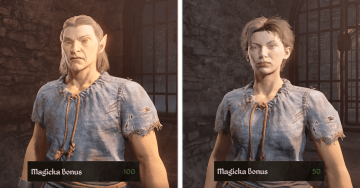 High Elf and Breton Magicka Bonuses