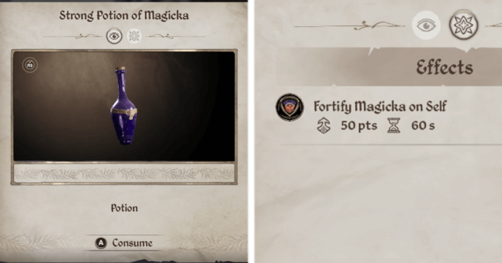 Strong Potion of Magicka