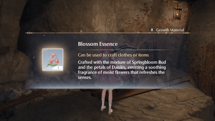 Blossom Essence