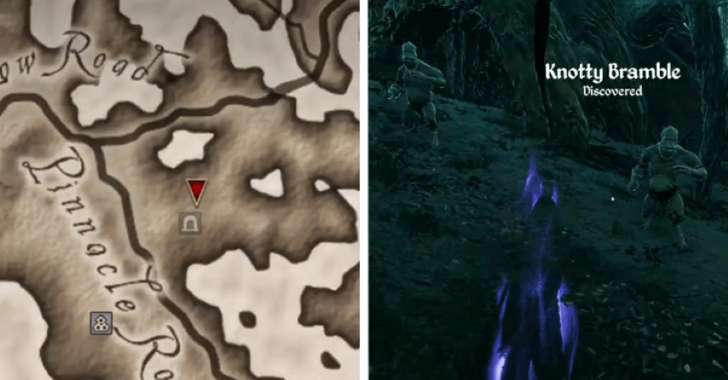 TES IV Oblivion Knotty Bramble Location